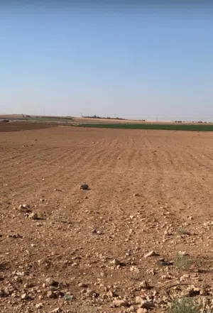 ارض مميزه في جنوب عمان الصلاحيه بالقرب من جلول