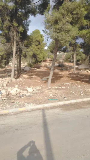 Residential Land for Sale in Salt Al Balqa'