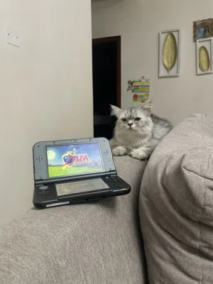 modded new 3ds xl (upper IPS screen)/نيو ثري دي اس اكس ال مهكره(شاشة اي بي اس علياه)