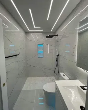 بلاكوبلاتر ( بلاكيست ) Chui Plaquiste Pro, j'fais le placoplâtre