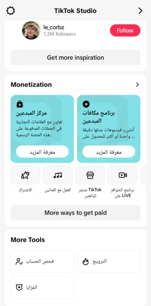 حساب تيكتوك بيطا فرنسي