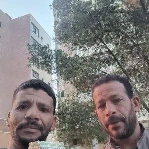 السيد محمود