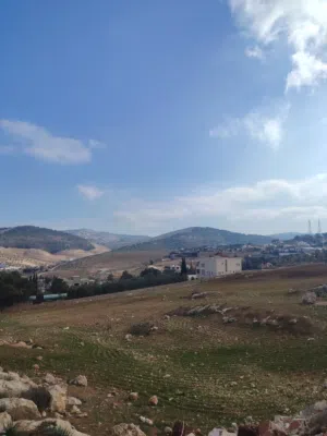 Farm Land for Sale in Jerash Tal Al-Rumman