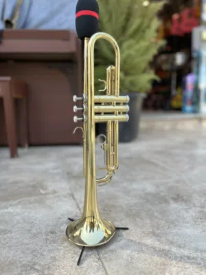 ترمبيت براند kaysen كوالتي عالي بأفضل سعر