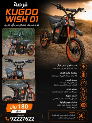 Kugoo Wish 01