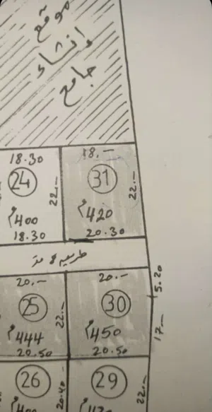 مكان ممتاز وسعر ممتاز وجار المسجد 420 متر