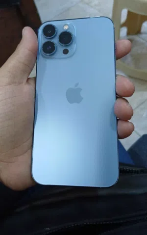 13 pro max