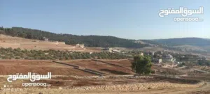 Mixed Use Land for Sale in Jerash Unaybah