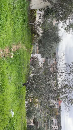 ارض للبيع بالجابريات