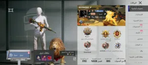Pubg Accounts and Characters for Sale in Amman