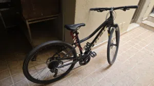Trek Dual Sport 2