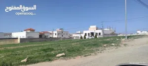 اراضي شرق عمان العبوس وحوض الجواميس  بسعر 25 الف قابل الأقساط بسعر الكاش