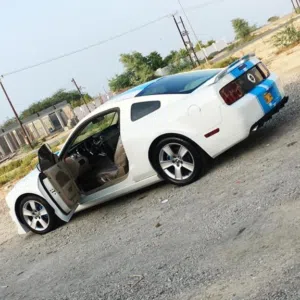 محمود البلوشي