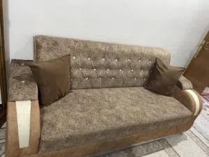 تخم قنفات للبيع