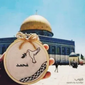 محمد محمد