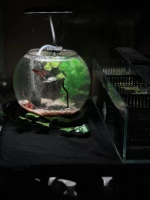 عرض مميز وحصري من Aquarium Care