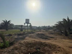 ارض زراعيه كورنر السويق المنفش مساحتها4614 يوجد بها كهرباء وماء حكومي وبئر وغرفه عامل وحوض