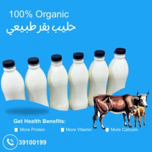 حليب بقر طازج