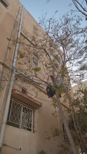 Building for Sale in Amman Tabarboor