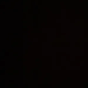 رنيم عصام غازي قفيشة 