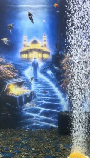 Premium Fish aquarium حوض سمك جديد