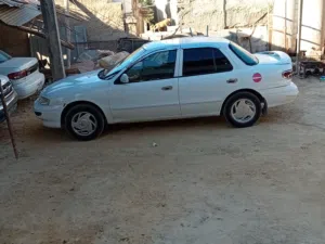 ياسين الشحادات 