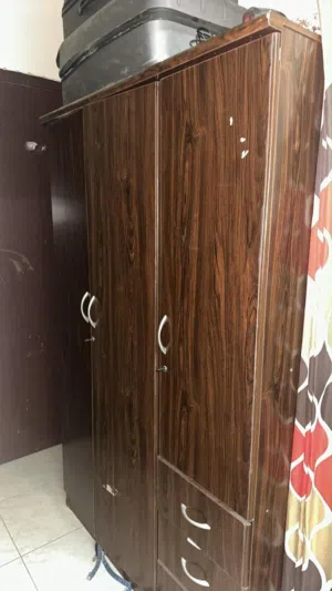 تلاجه سامسونج  استخدام شخصي