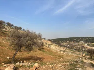 Farm Land for Sale in Zarqa Al-Alouk