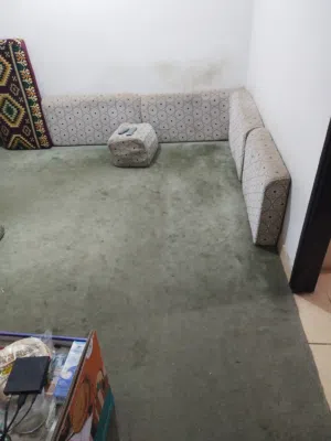 مشاركة سكن