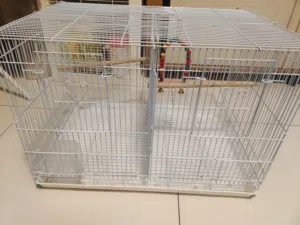 brand new cage 60x40x40 cm