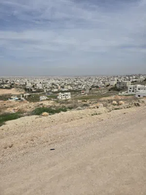 Residential Land for Sale in Irbid Al Husn