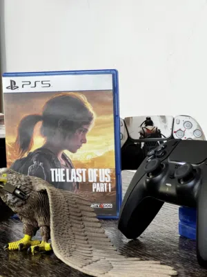 سيديات بلاستيشن 5