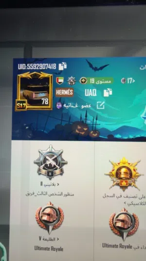 Pubg Accounts and Characters for Sale in Um Al Quwain