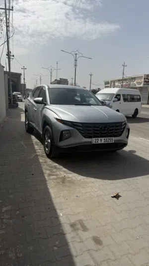 توسان 2024