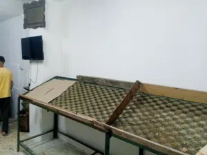 ستاند خضار للبيع