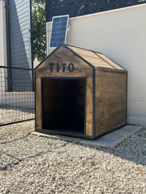 بيوت كلاب ضد المطر