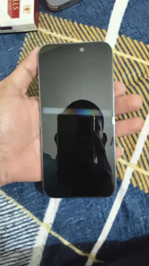 14 pro max 256GB