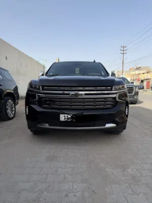 تاهو برايمير 2023