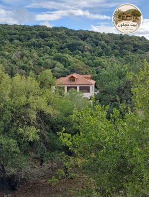 4 Bedrooms Chalet for Rent in Ajloun I'bbeen