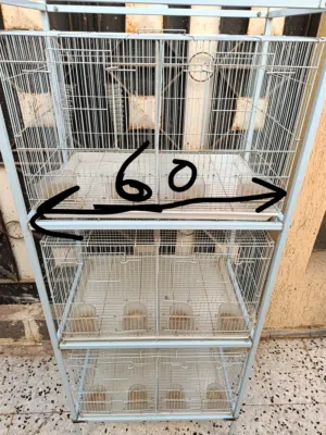 سلاكة عصافير