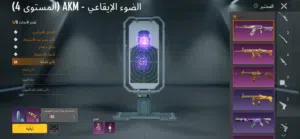 حساب ببجي للبيع اسلوب خرافي شوف الوصف لا يفوتك صيدة الموسم حساب 4امفورات و اسلحه مختلفه