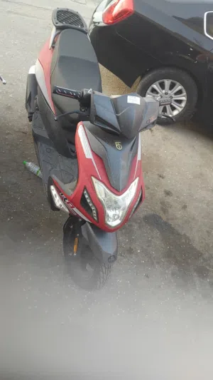 استراد هولندا