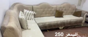 تخم قنفات جلسة واحدة