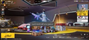 مسقط العامرات