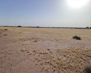 سلام عليكم يوجد لدينا دوانم للبيع طريق رفيع قرب شارع المشجر