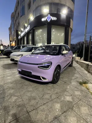 New Dongfeng Nammi Box in Zarqa