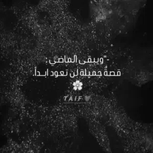 القيسي 