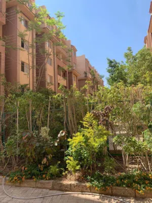 80 m2 2 Bedrooms Apartments for Rent in Giza 6th of October