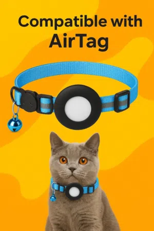 تتبع موقع قطك عبر طوقAir Tag