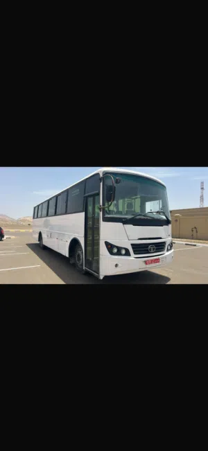 باص 66 راكب للاجار. Bus for rent